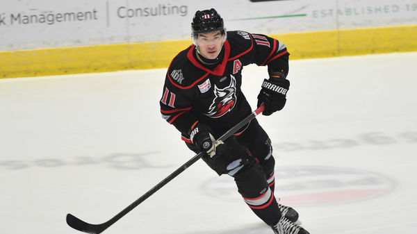 Adirondack&#039;s Harper named Warrior Hockey ECHL Player of the Month