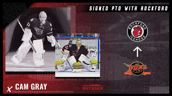 CAM GRAY SIGNS PTO WITH ROCKFORD ICEHOGS