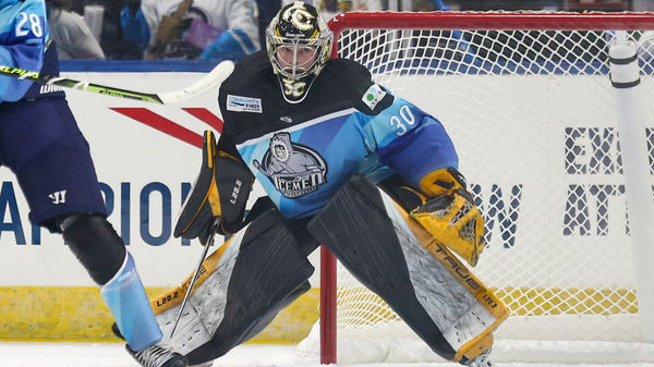 Icemen&#039;s Matt Vernon Named Warrior ECHL Goaltender of the Week