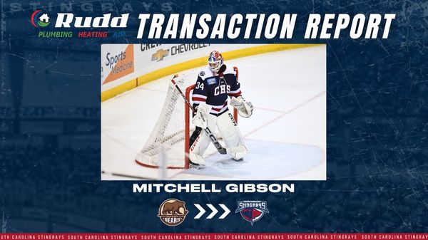GOALTENDER MITCHELL GIBSON RE-ASSIGNED TO SOUTH CAROLINA
