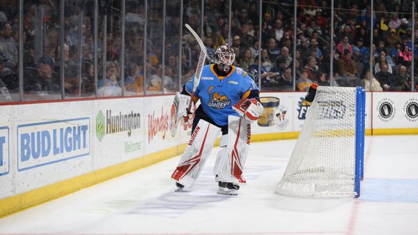 Walleye claim point, lose late to Admirals in shootout