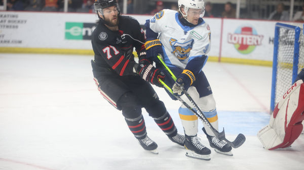 Anderson, Messina star as Walleye beat Fuel, claim playoff berth