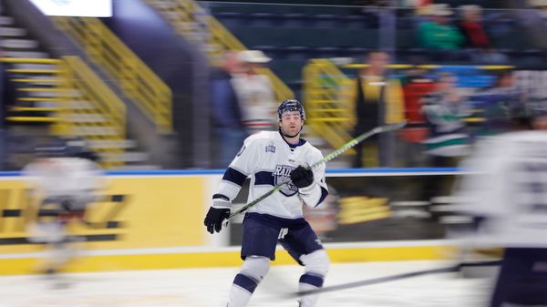 Worcester Drops Opener to Everblades 3-1
